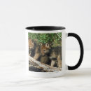 Pesquisar por lobo madeira canecas Natureza