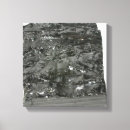 Pesquisar por fóssil impressão de canvas Geologia