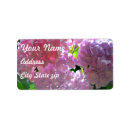 Pesquisar por flor cor de rosa do hydrangea Flores