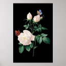 Pesquisar por borboletas pretas pósteres pôsteres For her
