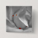 Pesquisar por macro botons Close up