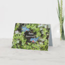 Pesquisar por beija flor fotos cartoes Floral