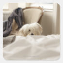 Pesquisar por cama adesivos Quarto