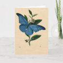 Pesquisar por schmetterling Azul