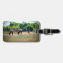 Pesquisar por antler bagagem tags Cervos