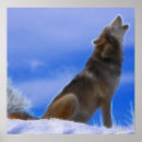 Pesquisar por lobo solitário pôsteres Wolfs