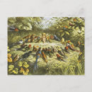 Pesquisar por doyle cartoes postais Fadas