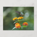 Pesquisar por beijo cartoes postais Qualquer pessoa