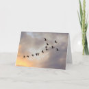 Pesquisar por tratamento cartoes Qualquer pessoa