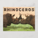 Pesquisar por áfrica sul cartoes postais Rinoceronte