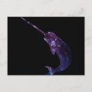 Pesquisar por narwhal cartoes postais Estrelas