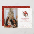 Pesquisar por cardeal natal cartoes Aves de inverno