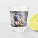 Pesquisar por dog copos bares Pet