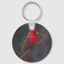 Pesquisar por wildlife chaveiros Vida selvagem