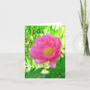 Pesquisar por pinça cartoes Fotografia