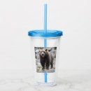 Pesquisar por mammals casa presentes Nature