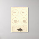 Pesquisar por febre pósteres pôsteres Unida