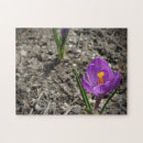 Pesquisar por foto flores roxo quebra cabecas Qualquer pessoa