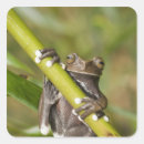 Pesquisar por reserva adesivos Natureza