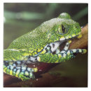 Pesquisar por anfíbios azulejos Verde