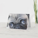 Pesquisar por pug bonito cartoes Filhote de cachorro
