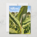 Pesquisar por flores e borboletas cartoes postais Monarca