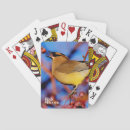 Pesquisar por waxwing de cedro Birding