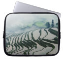 Pesquisar por fazenda capas Cultivo
