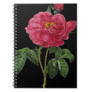 Pesquisar por pierre joseph cadernos de notas Flores