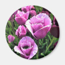 Pesquisar por purple imas Flores