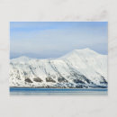 Pesquisar por svalbard cartoes postais Polar
