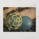 Pesquisar por bolas de vidro cartoes postais Japonês