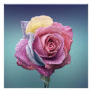 Pesquisar por a foto de aumentou Flor