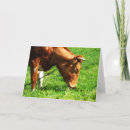 Pesquisar por agriculture cartoes Animal