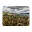 Pesquisar por patagonia imas Pinguim
