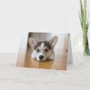 Pesquisar por puppy cartoes Pembroke welsh corgi