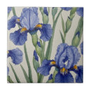 Pesquisar por flores azuis azulejos Natureza