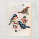 Pesquisar por punhal cartoes postais Aves