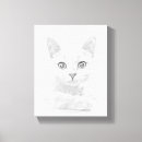 Pesquisar por cute animais estimação acessórios Gato