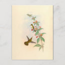 Pesquisar por beija flor cartoes postais Tropical
