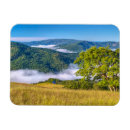 Pesquisar por árvore vermelha imas Colina