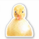 Pesquisar por pato branco adesivos Foto