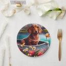 Pesquisar por dachshund pratos Animal