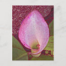 Pesquisar por calla cartoes postais Flores