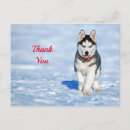 Pesquisar por husky cartoes Cachorrinho