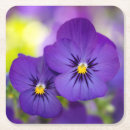 Pesquisar por viola porta copos Jardim