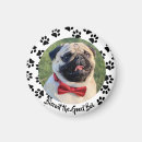 Pesquisar por pata de cachorro imas For pets