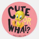 Pesquisar por pássaro tweety adesivos Melodia