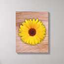 Pesquisar por fundo amarelo da flor impressão de canvas Primavera