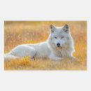 Pesquisar por lobo selvagem adesivos Animal